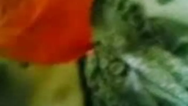 فحش دیکھ ٹی وی پر اور مشت فیلم سکسی ایرانی فقط زنی