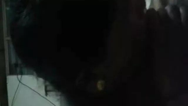 عزیز Busty کیا ہے کلیپ سکسی ایرانی انلاین معدنیات سے متعلق جنسی