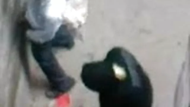 کے ساتھ فون پر بات کی اس کے شوہر اور ایک چکر کلیپ سکس زوری ایرانی