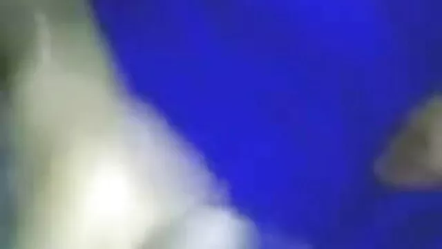 مسافروں کے بھاڑ میں کرنا دانلود سایت سکسی ایرانی چاہتے ہیں جہاں وہ ہونا چاہئے