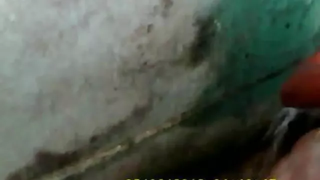 سنہرے بالوں والی بیوی بھاڑ میں جاؤ اس کے پریمی کے ساتھ اس کے شوہر فیلم سکسی ایرانی خشن