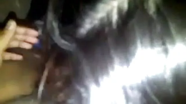 سونے فلیم سگس ایرانی مثالی ہیں