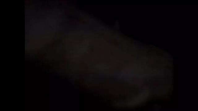 گدا ھیںچ دانلود فيلم پورن ايراني
