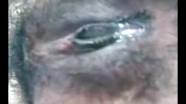 خوبصورت سنہرے بالوں والی سکس ایرانی در اتوبوس ، جنسی