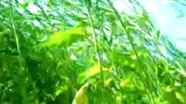 مشکل مقعد سوفی سکس ایرانی انلاین پر چیری