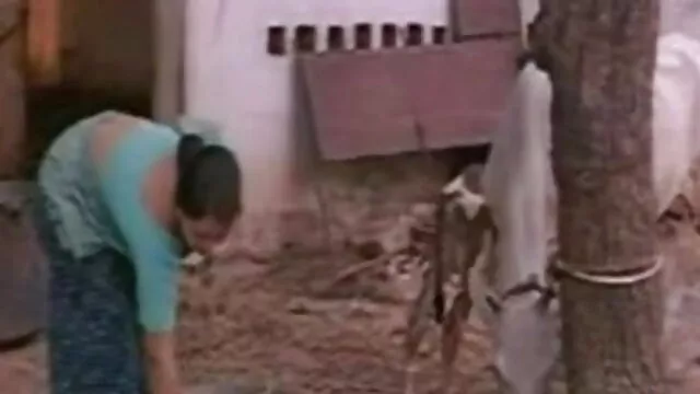 چوسنے کی عادت اور بیت الخلا میں کچھ حاصل کرنے کی سکس ایرانی اصلی اندام نہانی جنسی
