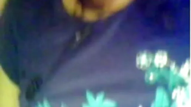 سنہرے بالوں والی گدی کرتا ہے بلی کو سکیی ایرانی چاٹنا