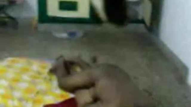 آخر فیلم سکسی ایرانی در تلگرام ایک لڑکی چربی کے ساتھ حوصلہ افزائی