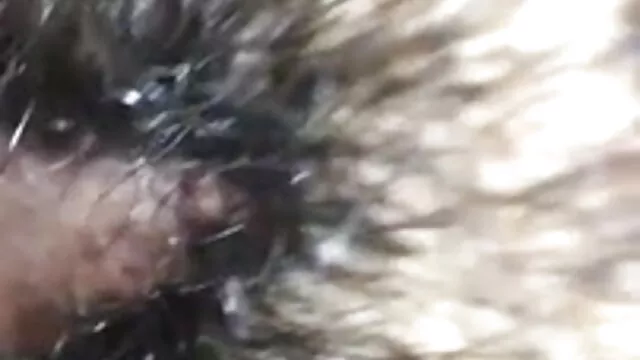 جنسی فیلم سکسی ایرانی طولانی چینی بال کے ساتھ چللاتی اور moans ہے