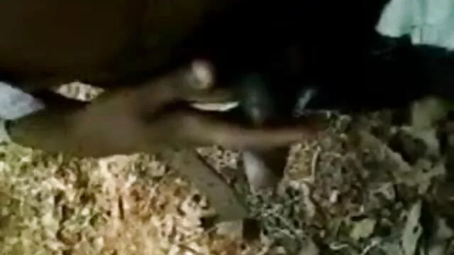 جنسی اندام تازه ترین سکس ایرانی نہانی کے ساتھ خوبصورت brunette
