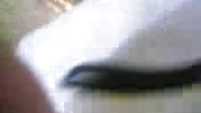 لڑکی بہا فیلم پورن ایرانی دودھ بڑی چوچیان